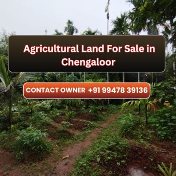 1.10 Acre Agricultural Land for Sale at Chalakudy Budget - 80000 Cent