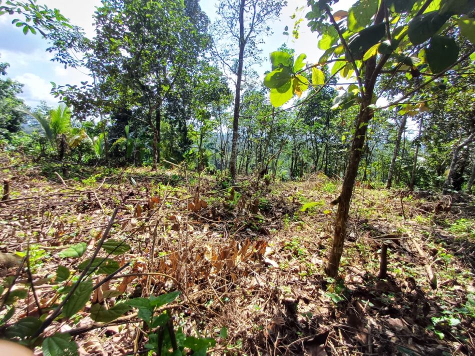 Agricultural Land For Sale