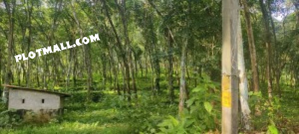 Agricultural Land For Sale