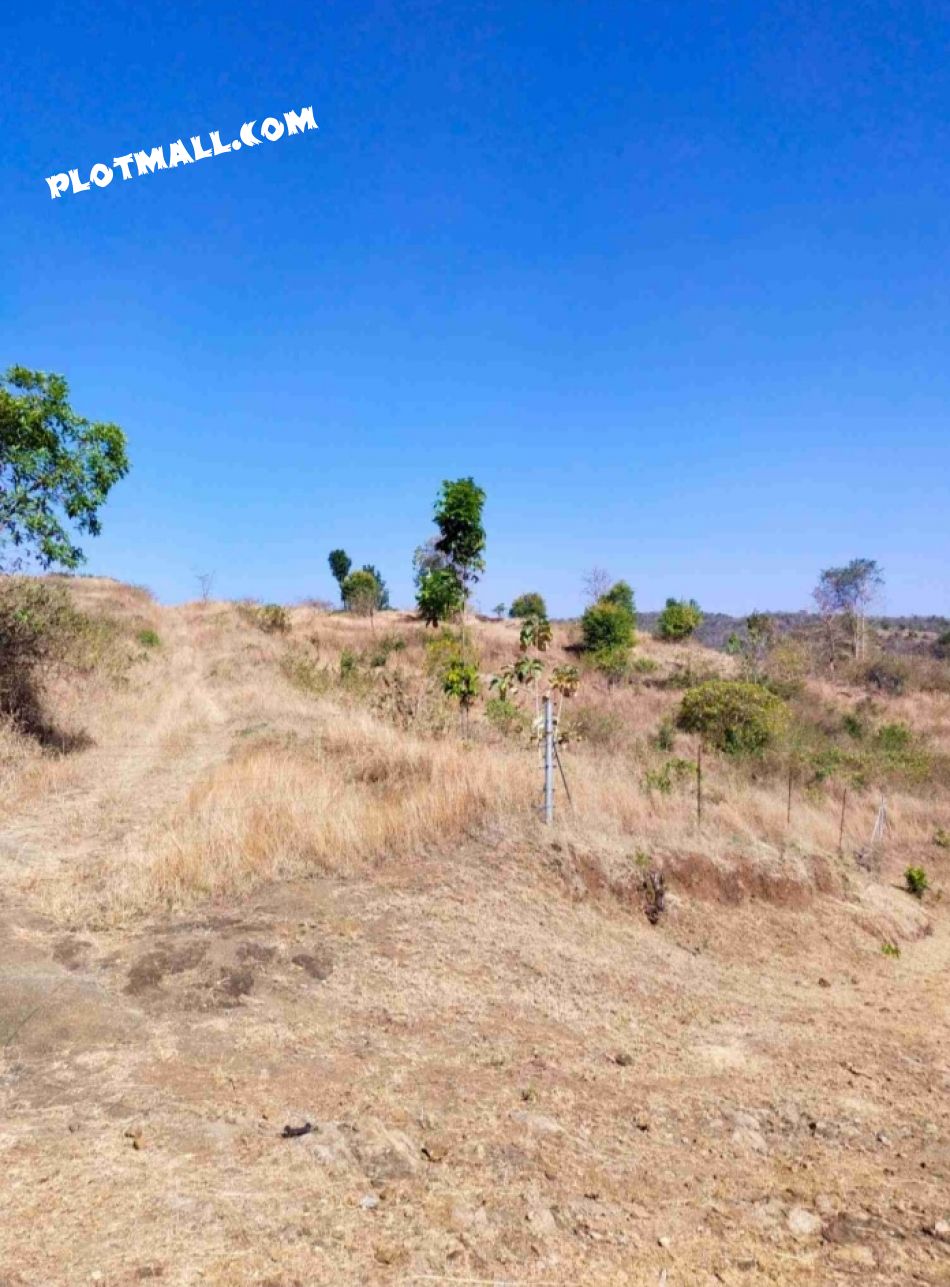 Agricultural Land For Sale