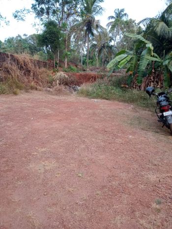 8 Cent Agricultural Land for Sale at Chelambra Budget - 300000 Cent