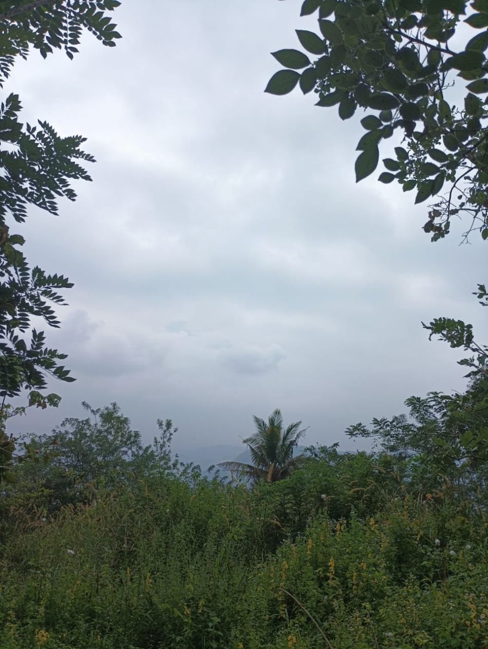 Agricultural Land For Sale