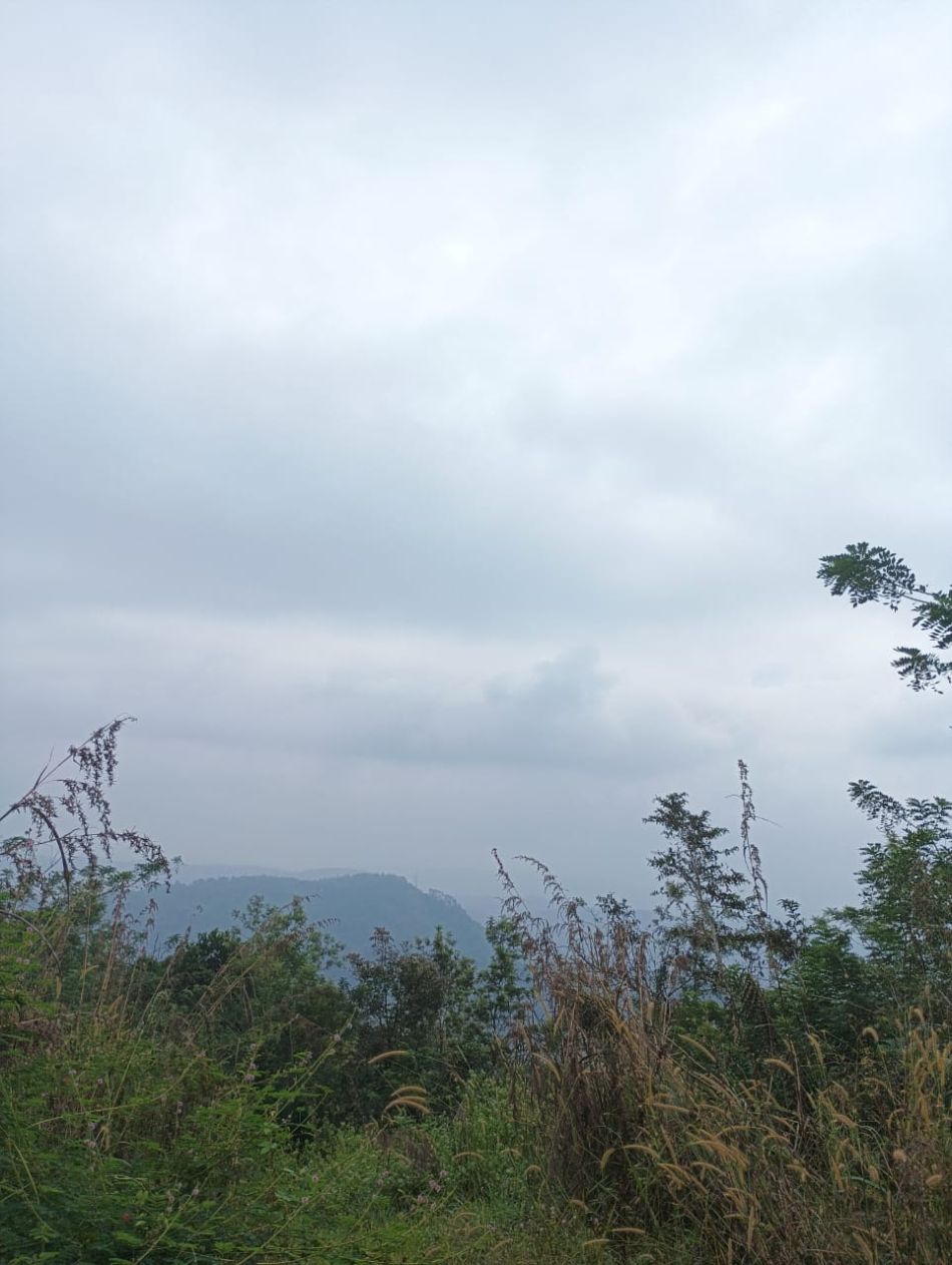 Agricultural Land For Sale