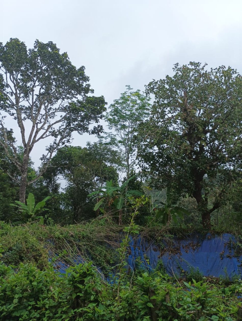 Agricultural Land For Sale