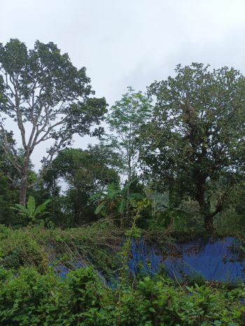 2.1 Acre Agricultural Land for Sale at Oorakam Budget - 5000000 Acre