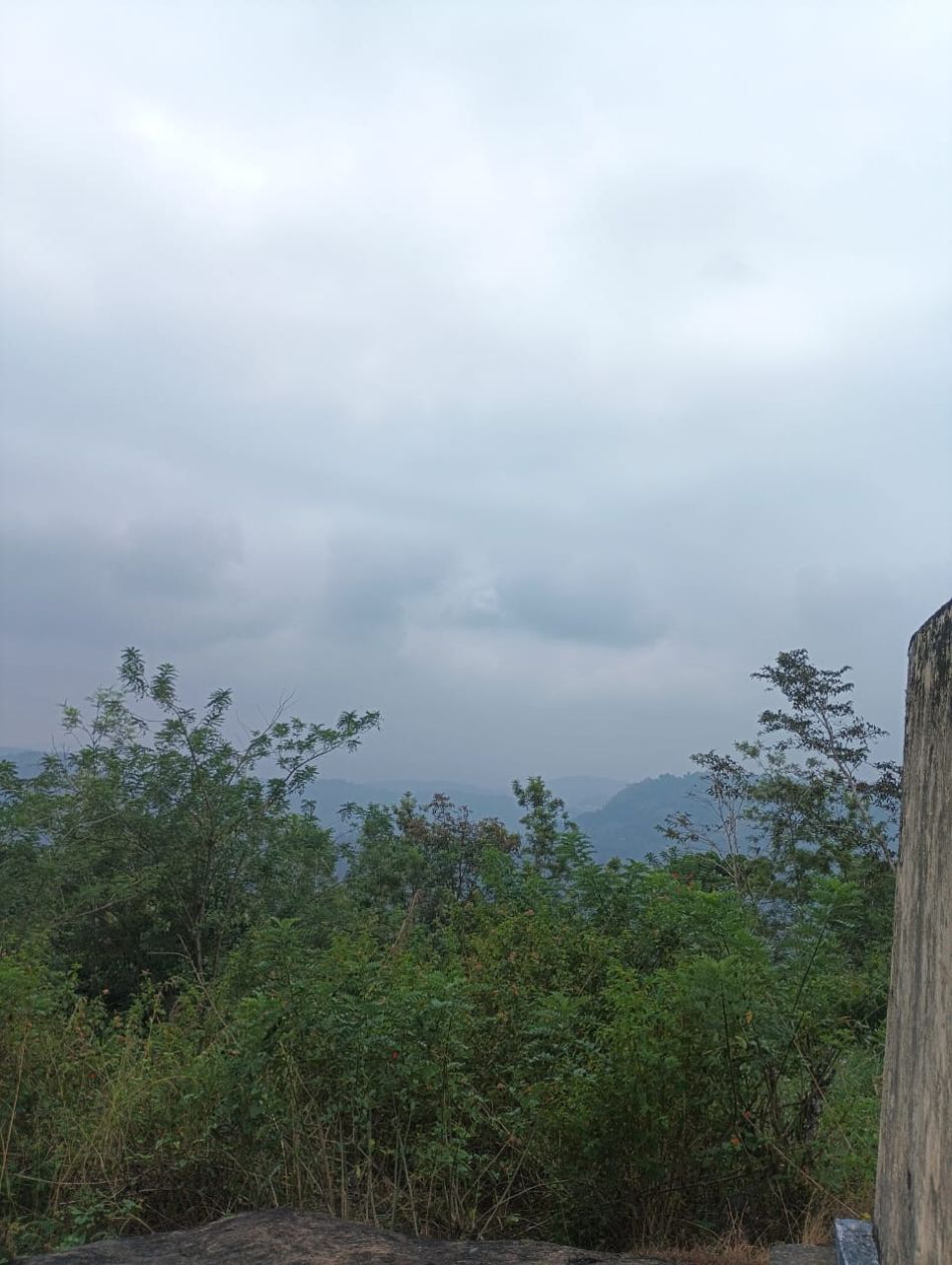 Agricultural Land For Sale