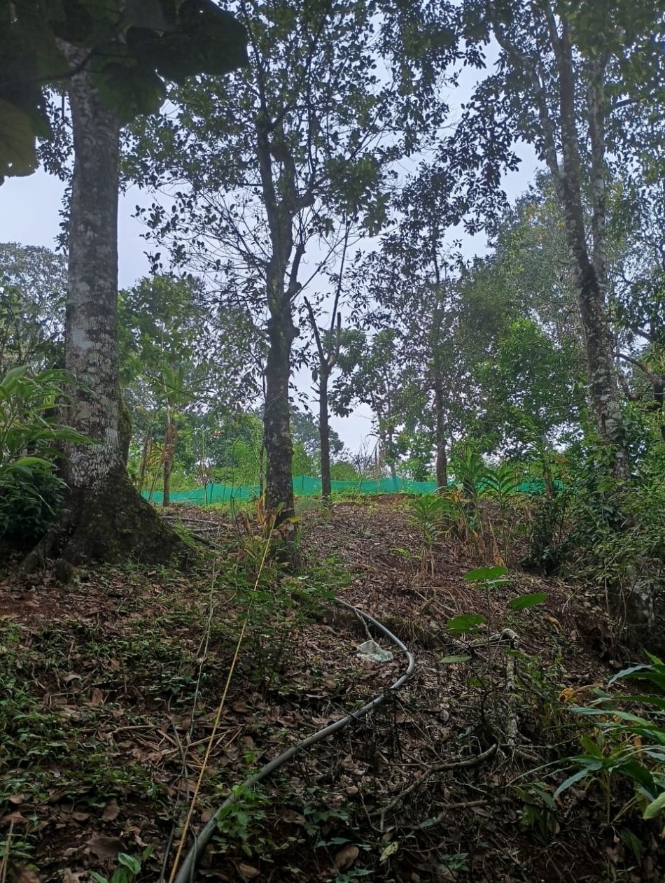 Agricultural Land For Sale