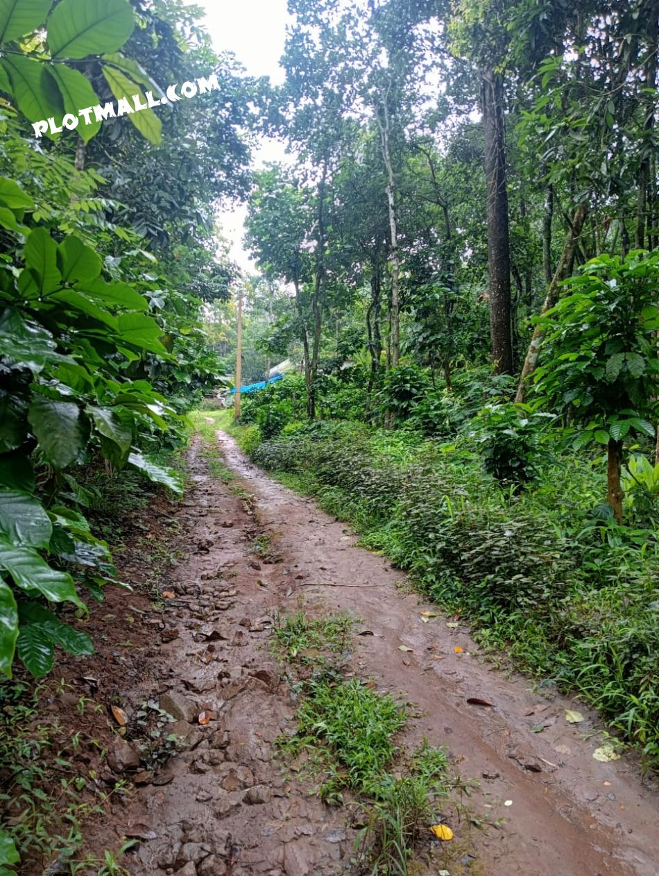 Agricultural Land For Sale