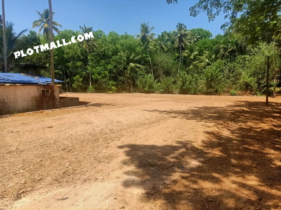 Agricultural Land For Sale