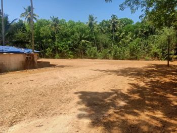 40 Cent Agricultural Land for Sale at Nedumangad Budget - 350000 Cent