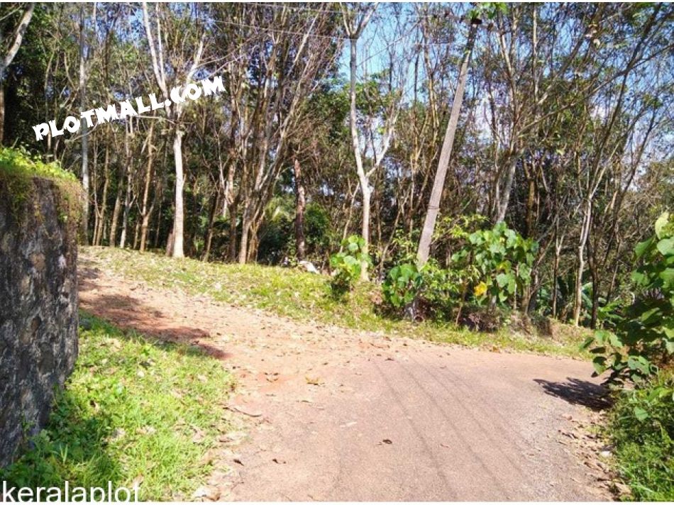 Agricultural Land For Sale