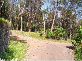 23 Cent Agricultural Land for Sale at Peruvayal Budget - 100000 Cent