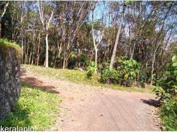 23 Cent Agricultural Land for Sale at Kozhikode Budget - 100000 Cent