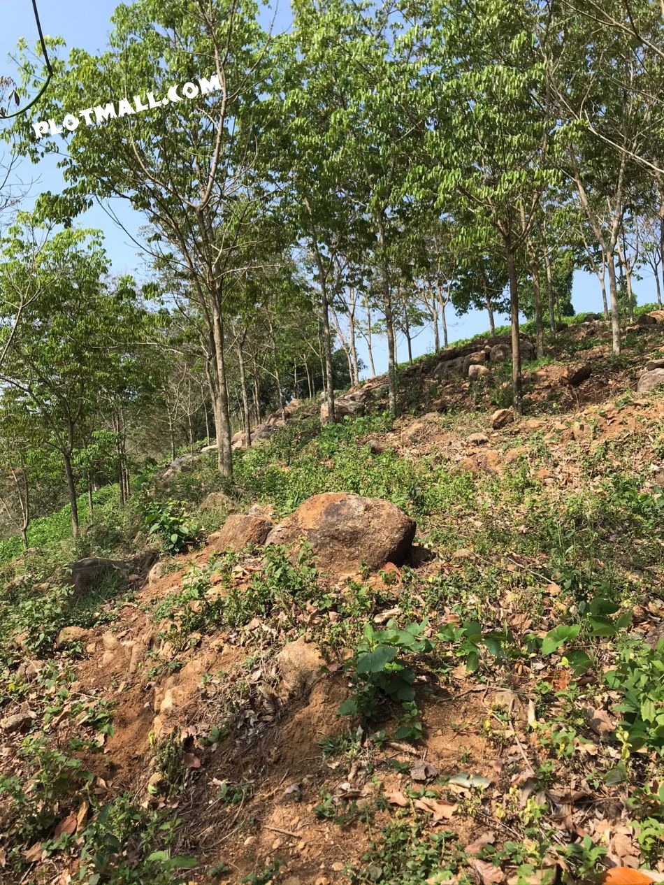 This Is The First Plot,
first Plot Is Little Rough With More Rocks Compared To The Second Which Is Almost Flat.