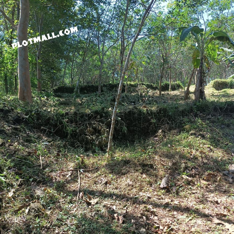 Agricultural Land For Sale