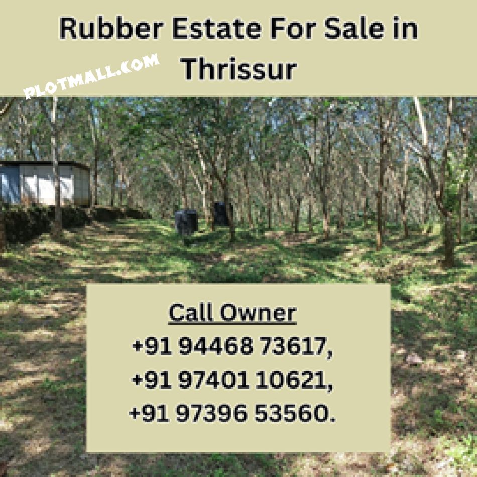 Agricultural Land For Sale