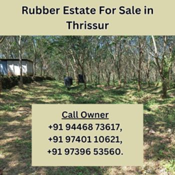 4.15 Cent Agricultural Land for Sale at Chalakudy Budget - 70000 Cent