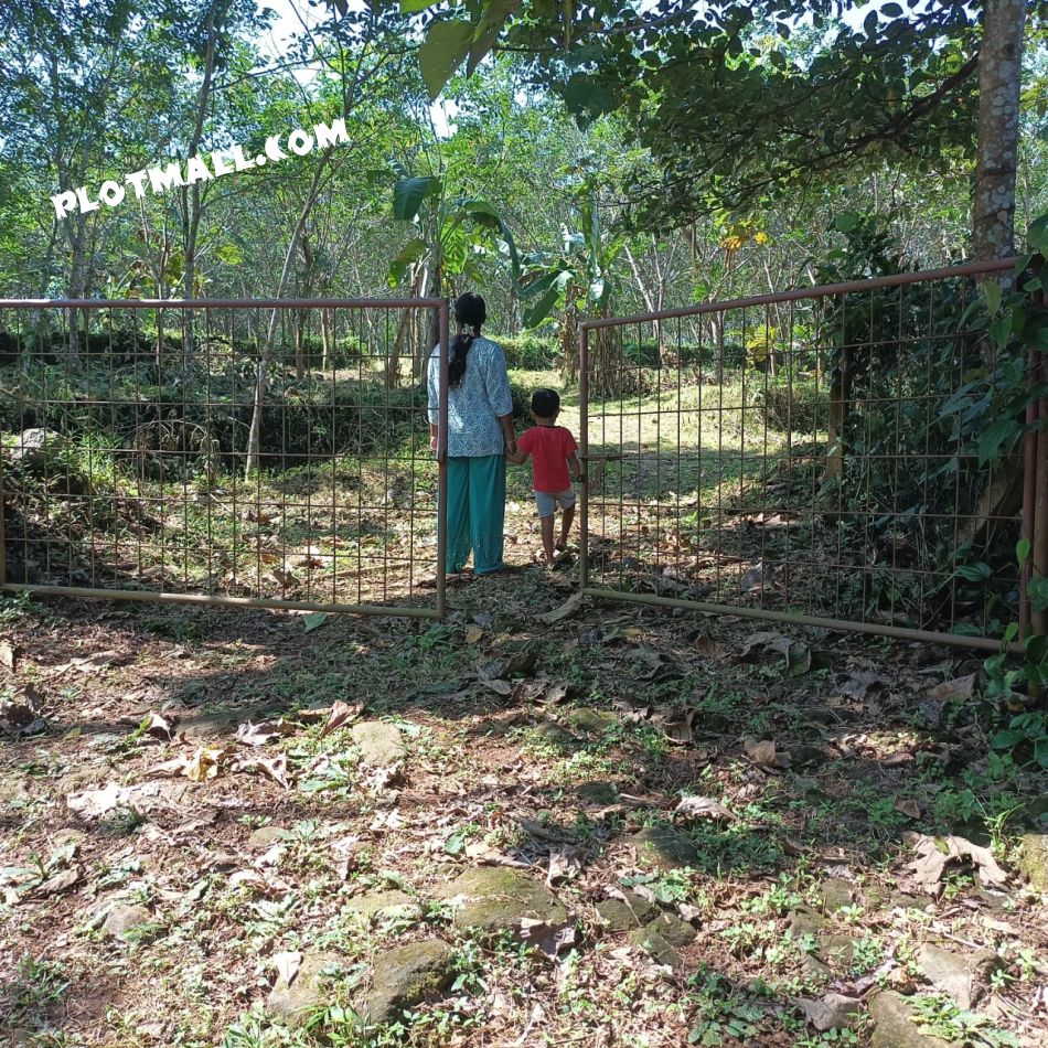 Agricultural Land For Sale