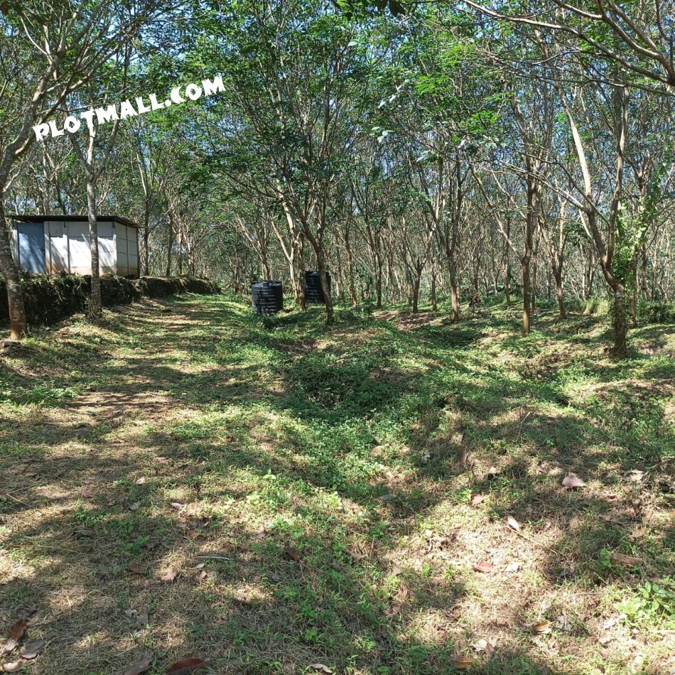 Agricultural Land For Sale