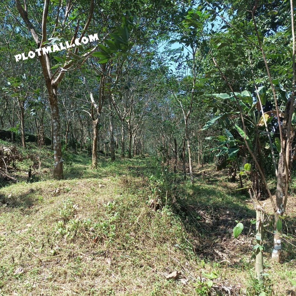 Agricultural Land For Sale