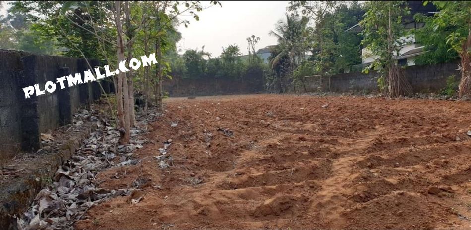 48  Cent Residential Land for Sale at Vadakkencherry Budget - 125000  Cent