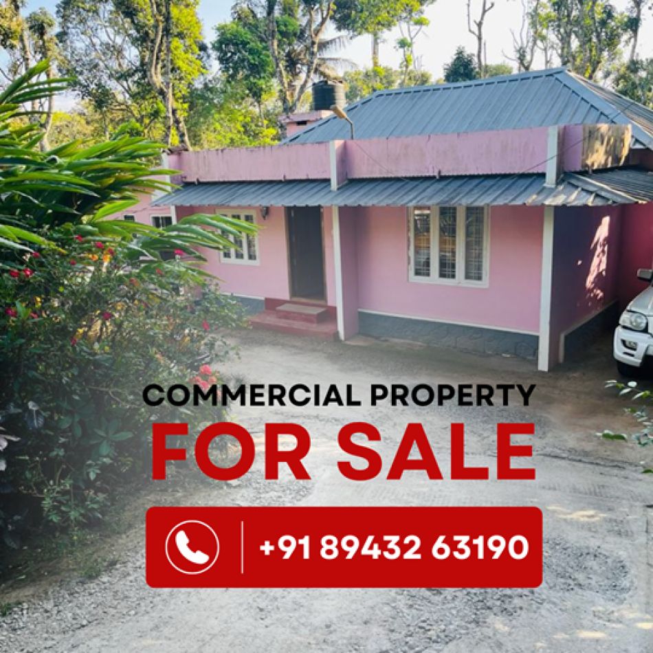 Commercial Land For Sale