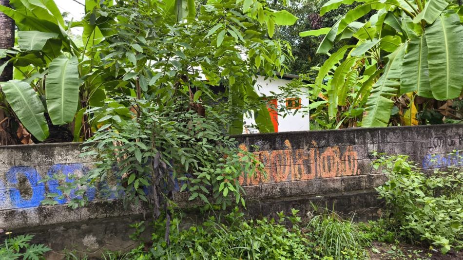 Commercial Land For Sale