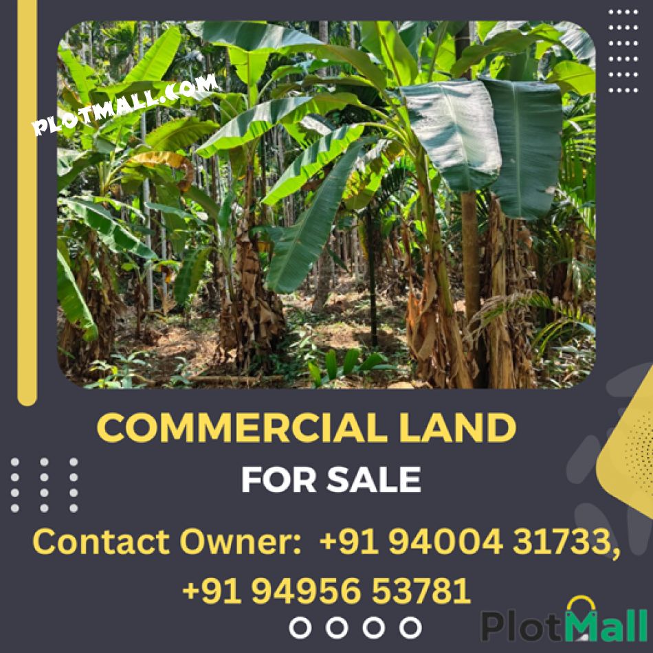 Commercial Land For Sale