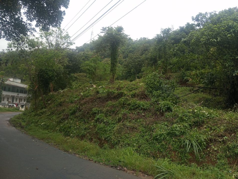 Commercial Land For Sale