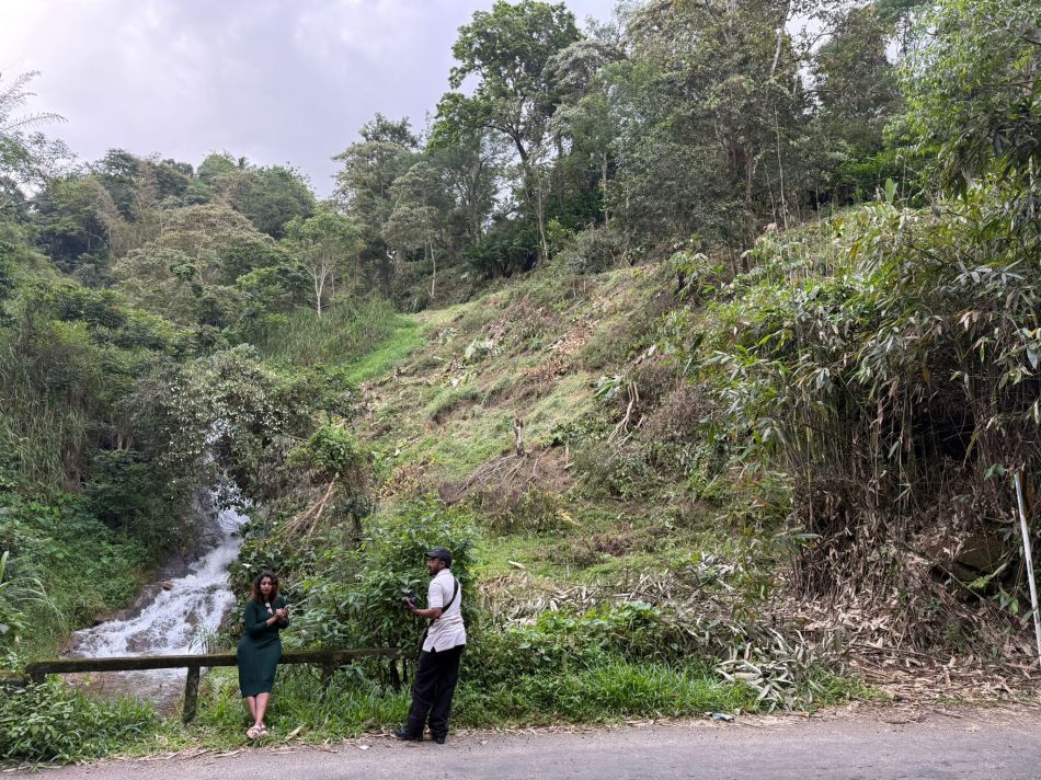 Commercial Land For Sale