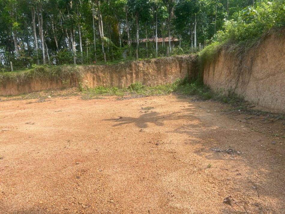 Commercial Land For Rent