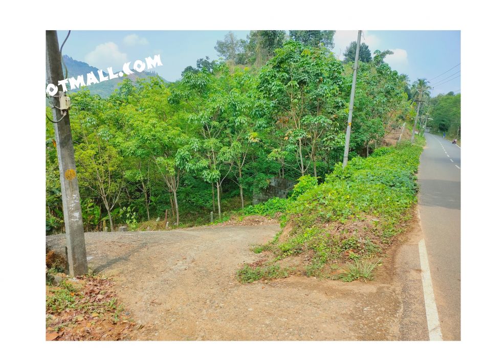 Commercial Land For Sale