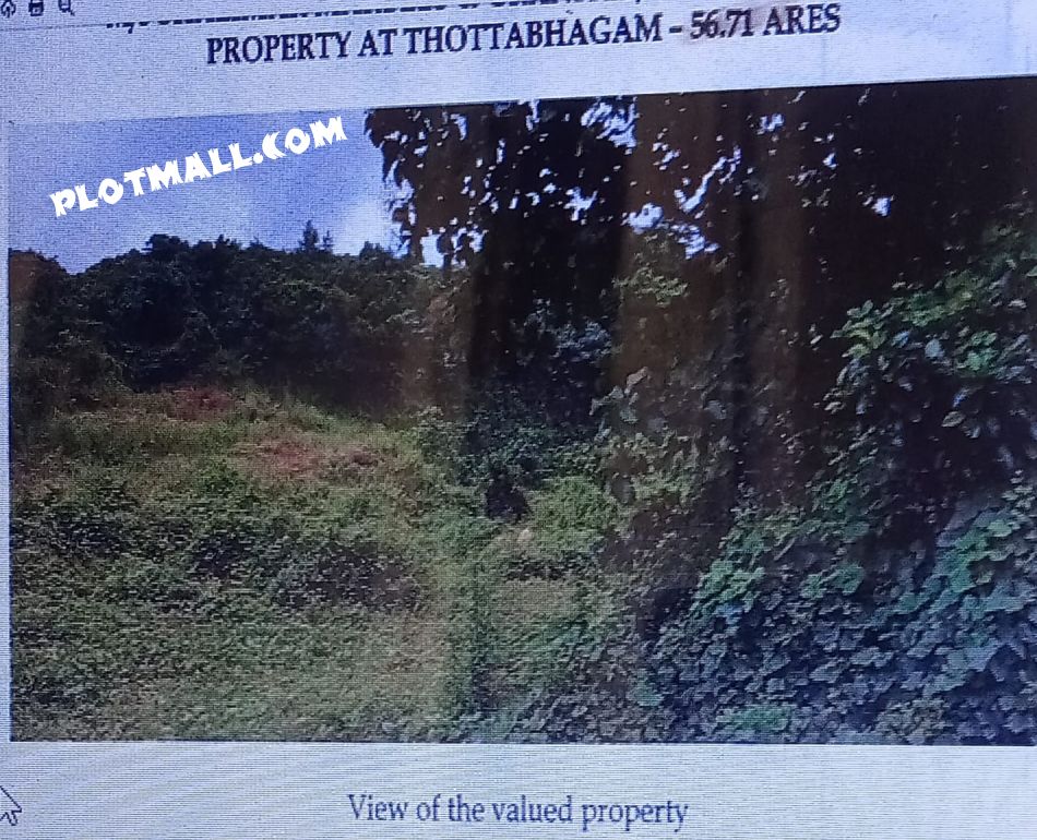 Commercial Land For Sale