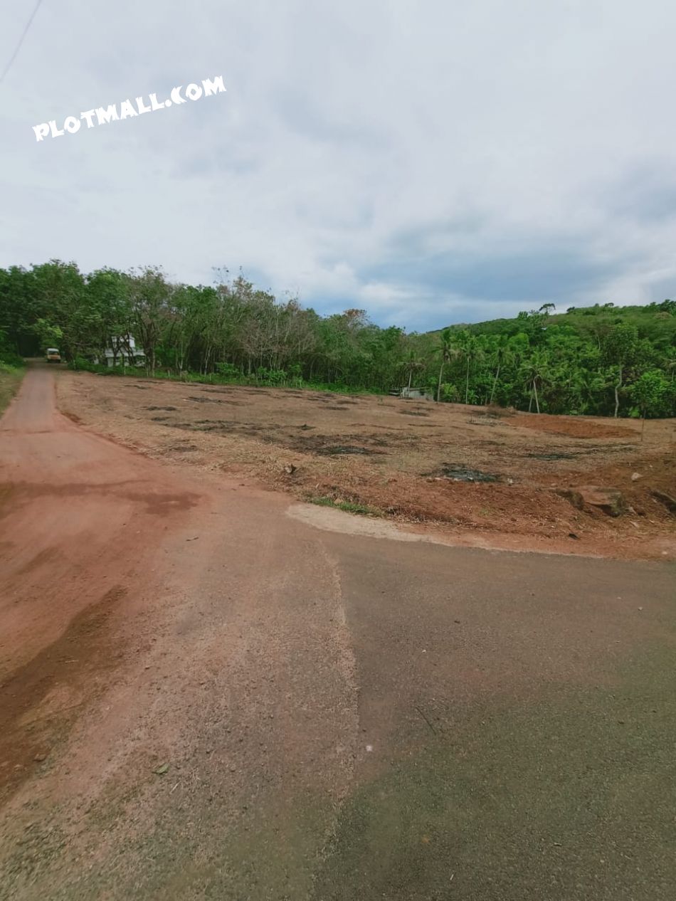 Commercial Land For Sale