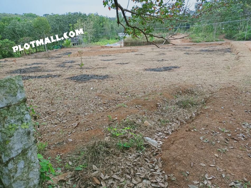 100 Cent Commercial Land for Sale at Edackode Budget - 300000 Cent