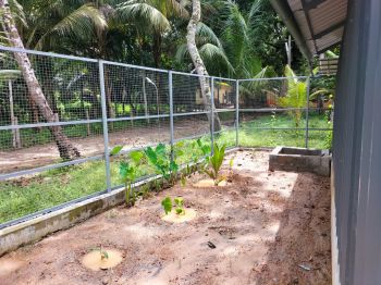 6.5 Cent Residential Land for Sale at Kayamkulam Budget - 2200000 Total