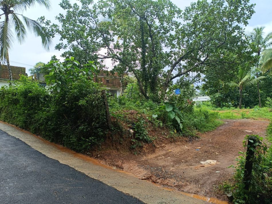 Commercial Land For Sale