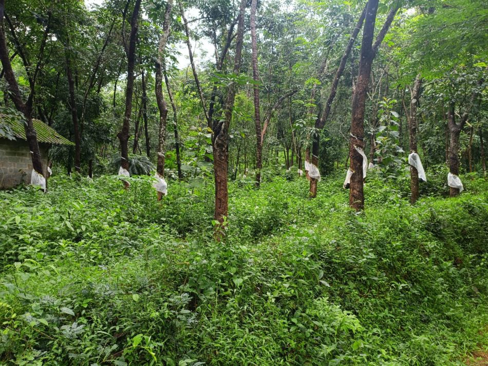 Commercial Land For Sale