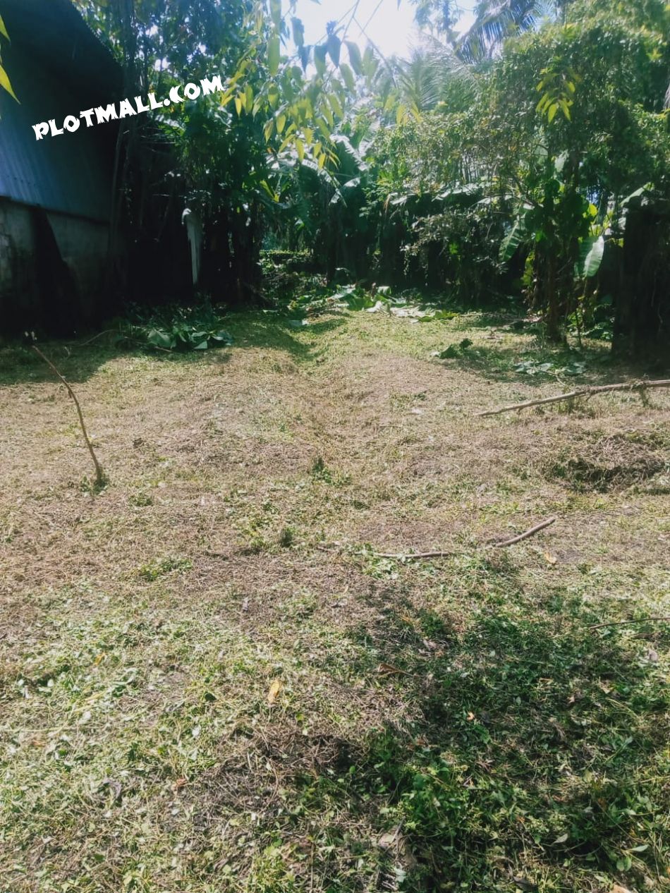 Commercial Land For Sale