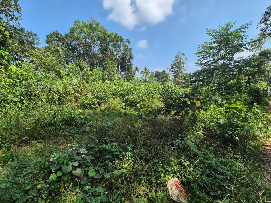 Commercial Land For Sale