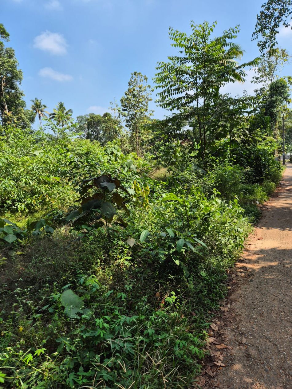 Commercial Land For Sale