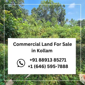 46 Cent Commercial Land for Sale at Parippally Budget - 230000 Cent