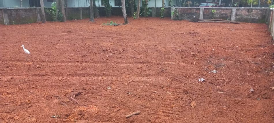 Commercial Land For Rent