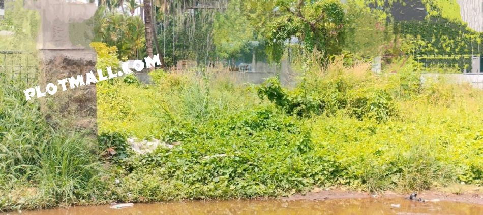 Commercial Land For Sale
