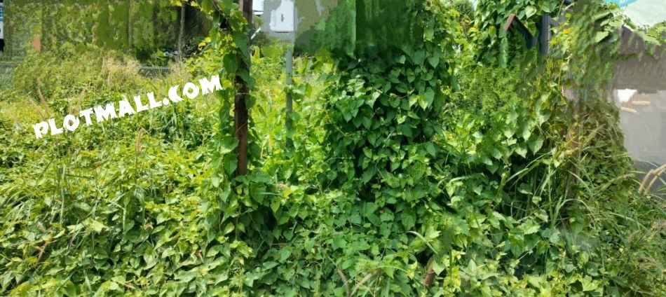 Commercial Land For Sale