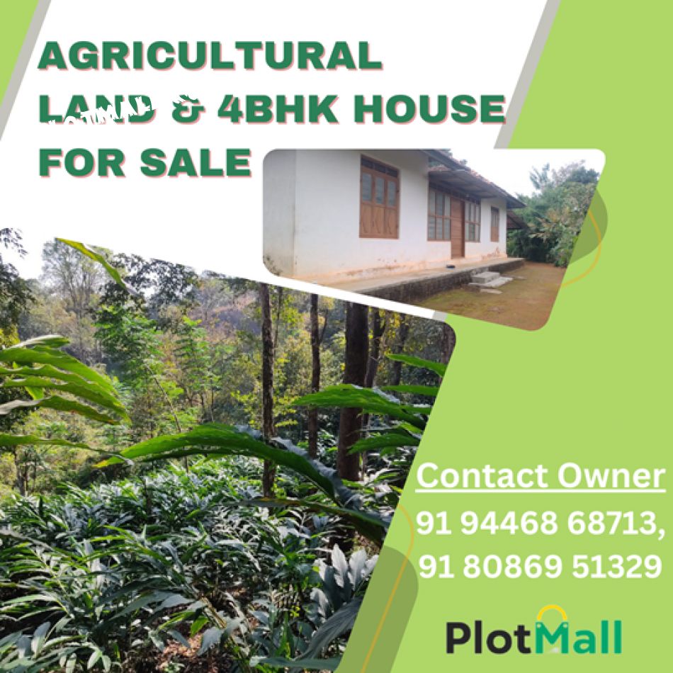 Farm House For Sale