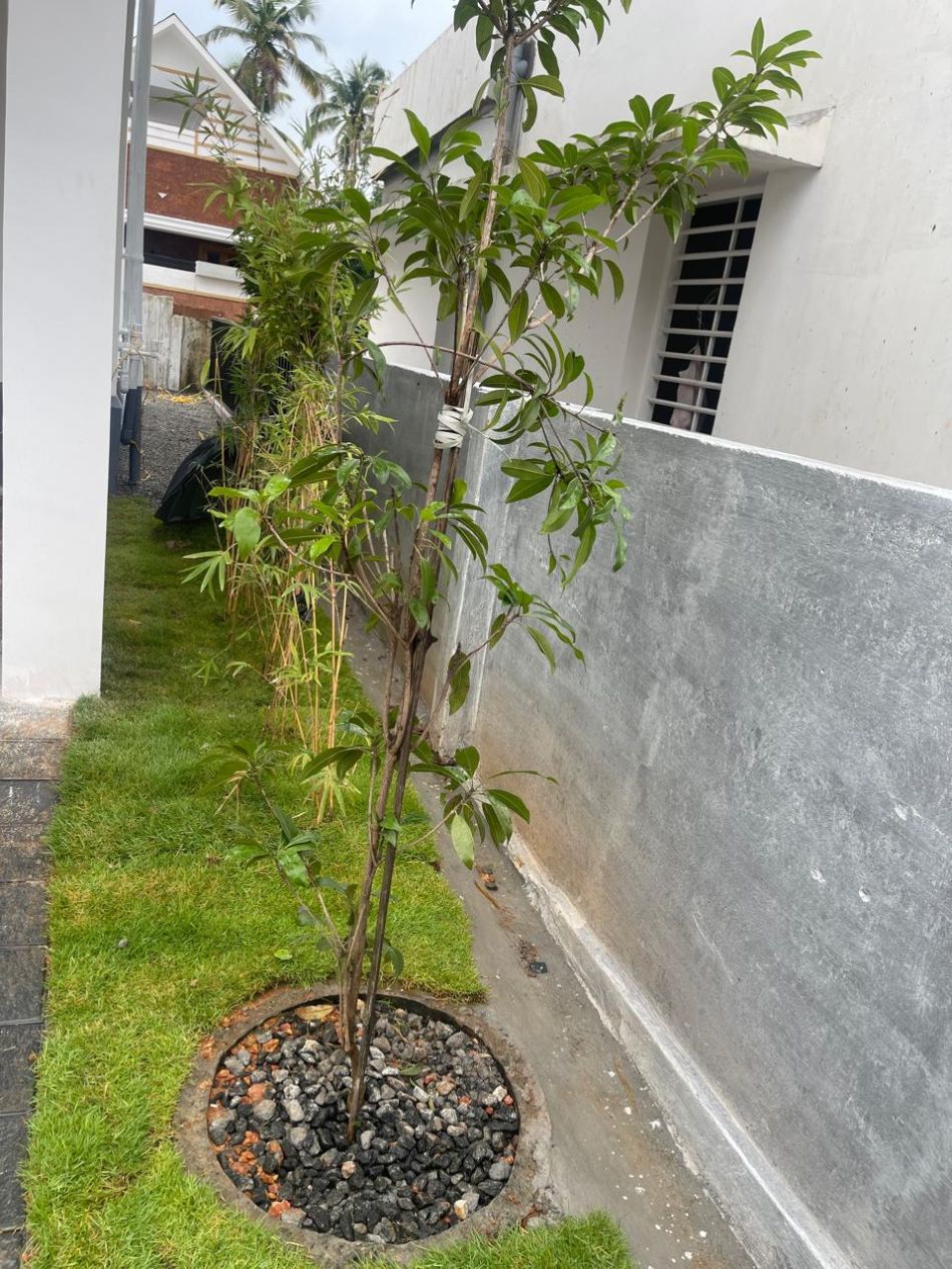 House / Villa For Sale