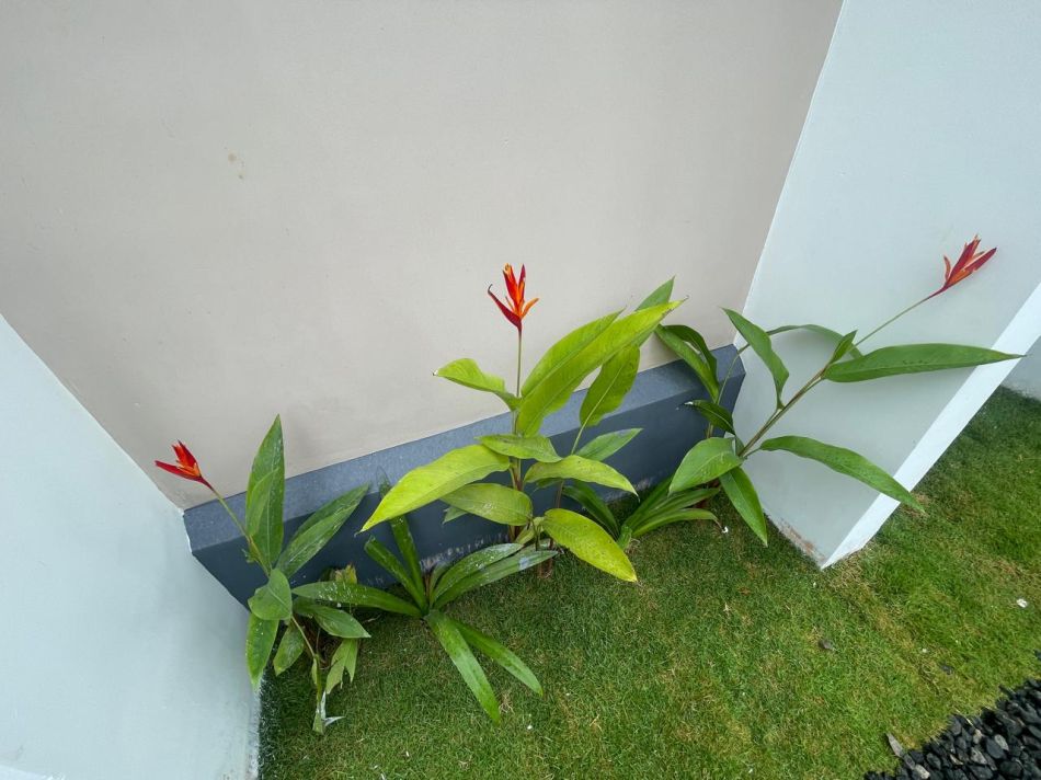 House / Villa For Sale