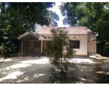 60 Cent House / Villa for Sale at Muthukulam Budget - 130000 Cent