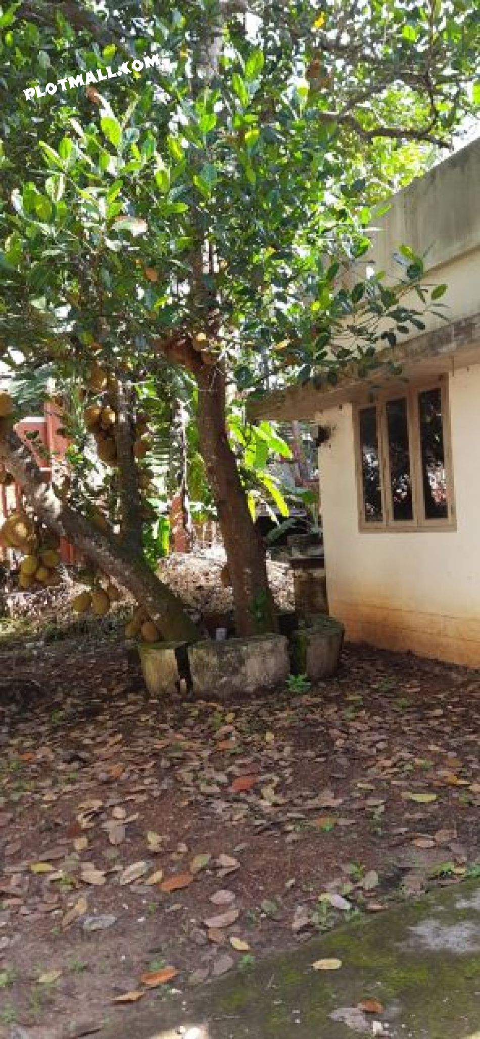 House / Villa For Sale